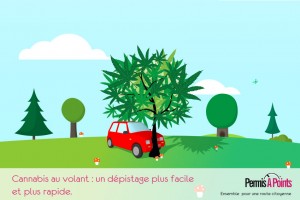 illustration voiture accidentée dans un arbre à feuilles de cannabis